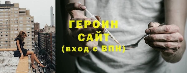прущие грибы Тайга