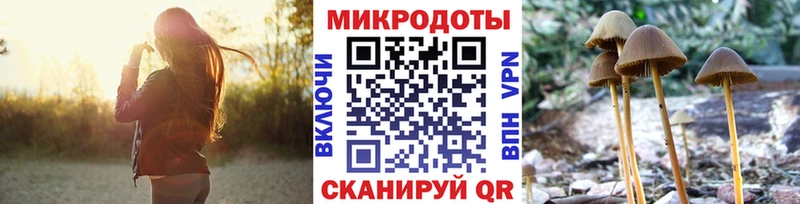 блэк спрут маркетплейс  магазин    Весьегонск  Псилоцибиновые грибы GOLDEN TEACHER 
